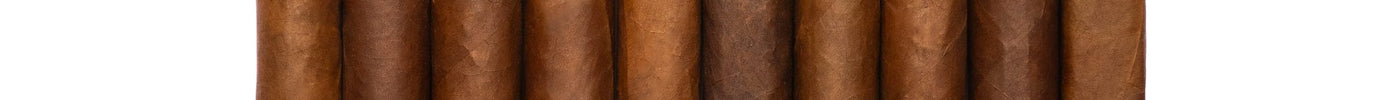 10 Cigars