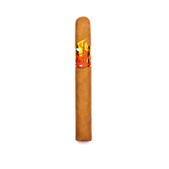 Collection image for: Privada Cigar Club