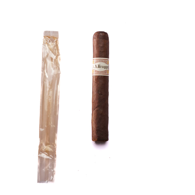 Cigar and its packaging on a white background