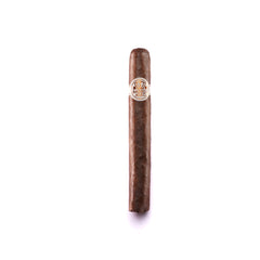 Cigar with a band on a white background