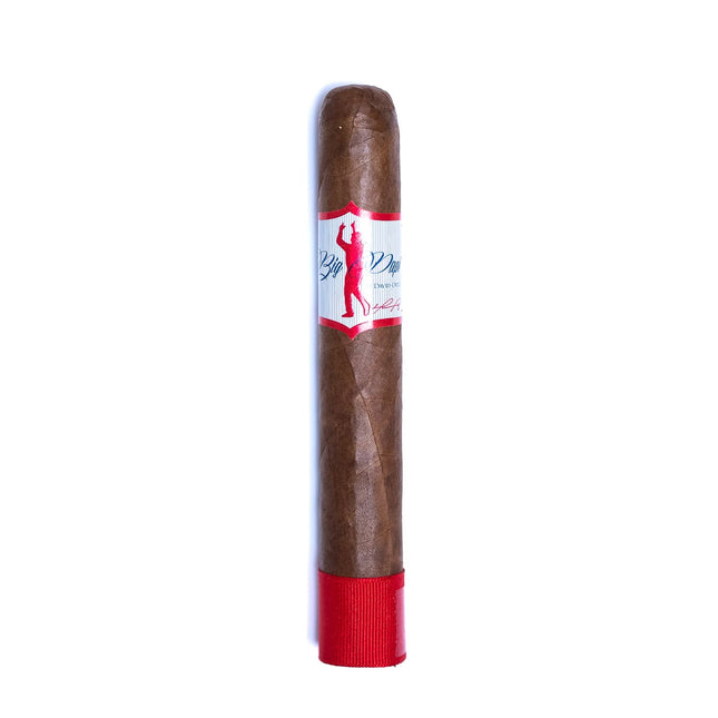 Big Papi by David Ortiz