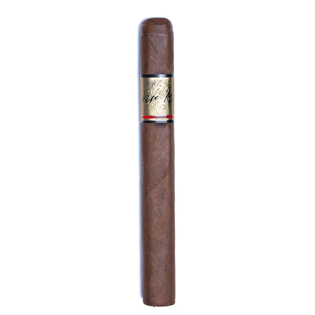Black Star Line War Witch CT