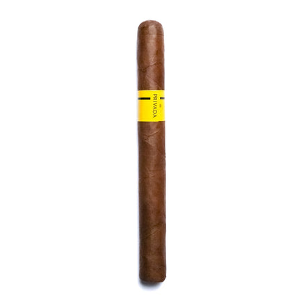 Color Series Black And Yellow Aged 6 Years