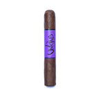 Robusto Single