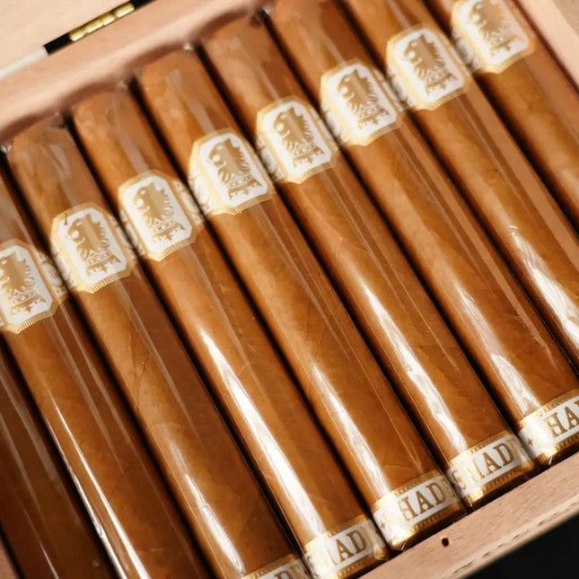 cigar