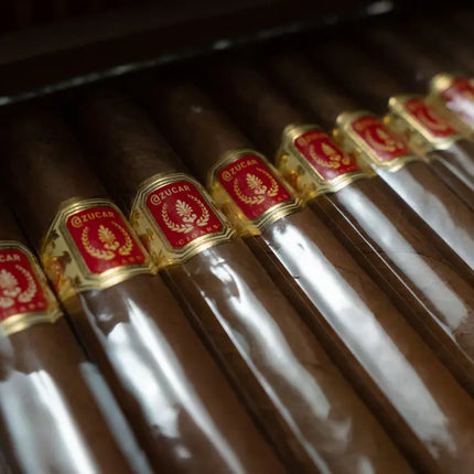 cigar