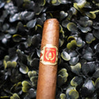 Caña Box of 25