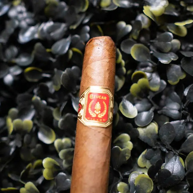 cigar