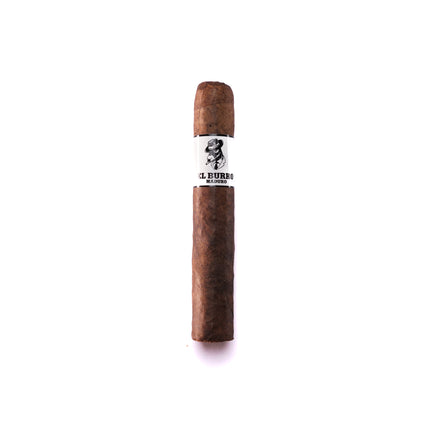 Cigar with a band on a white background