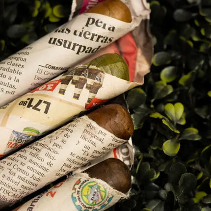cigar