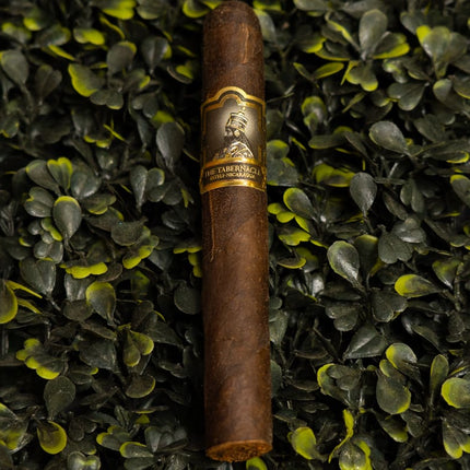 Foundation The Tabernacle Broadleaf