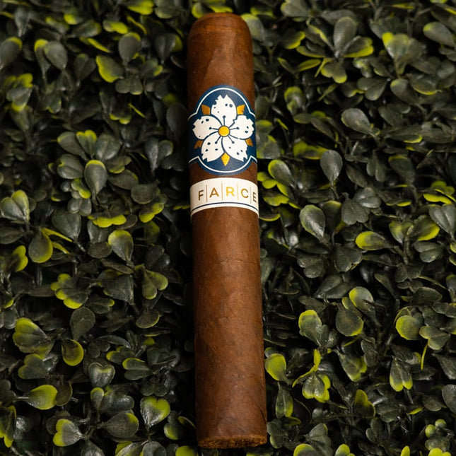 Room 101 Farce Maduro