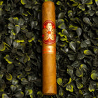 Robusto Single