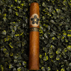 Robusto Single