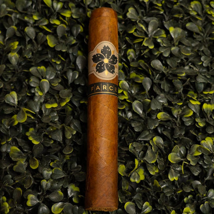 Room 101 Farce Habano