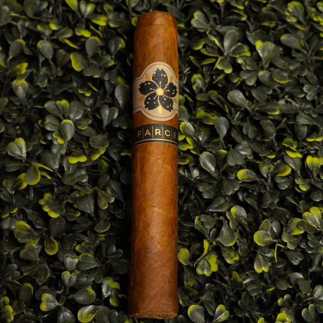 Room 101 Farce Habano
