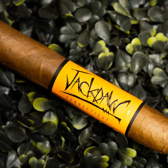 cigar