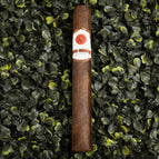 Lancero Box of 20