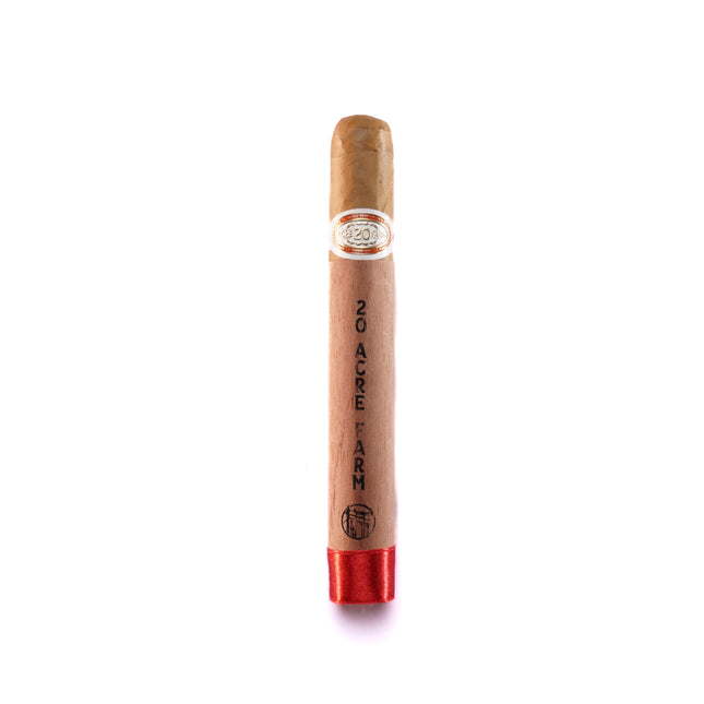 Cigar with a red tip on a white background