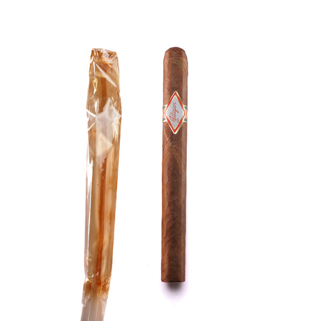 Cigar and its packaging on a white background