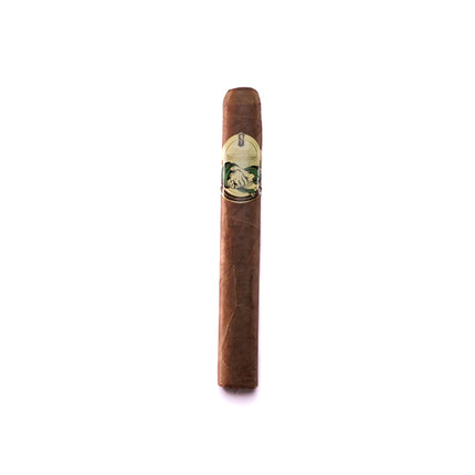 Cigar with a band on a white background