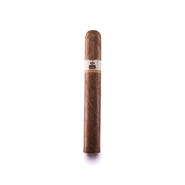 Cigar on a white background