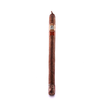 Cigar on a white background
