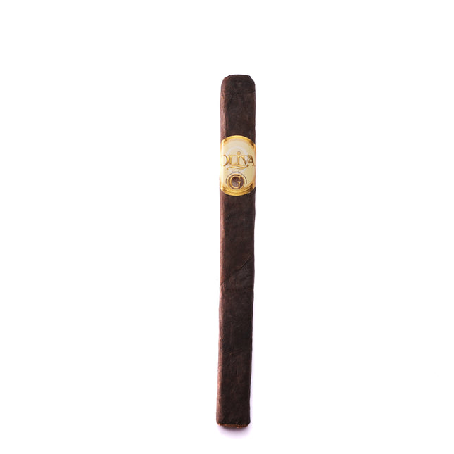 Cigar with a gold band on a white background