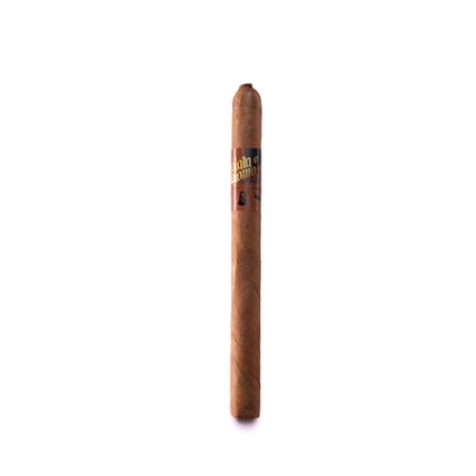 Cigar with band on a white background