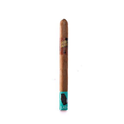 Cigar with a blue band on a white background