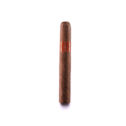 Cigar on a white background