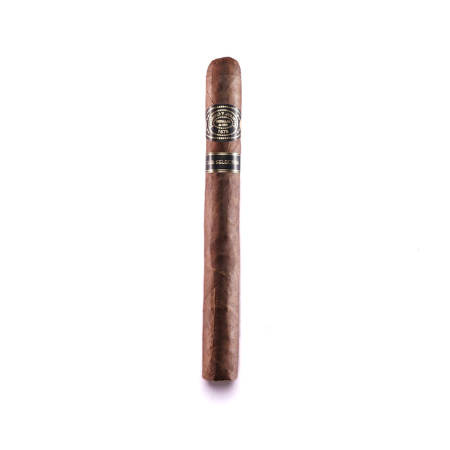 Single cigar with band on a white background