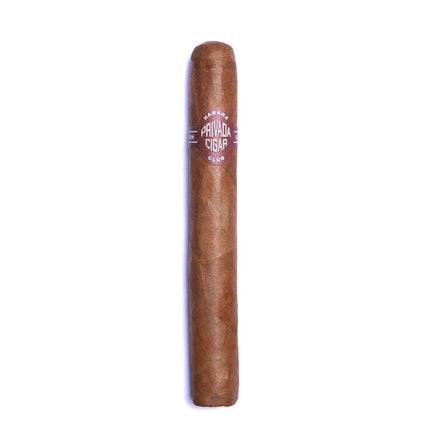 Tiburón Dominicano Aged 1.5+ Years