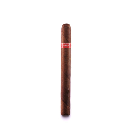 Cigar with a red band on a white background
