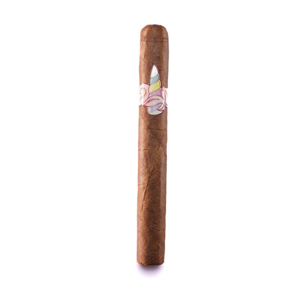 Cigar with a band on a white background