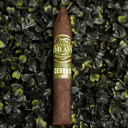 Southern Draw Cedrus Hogan