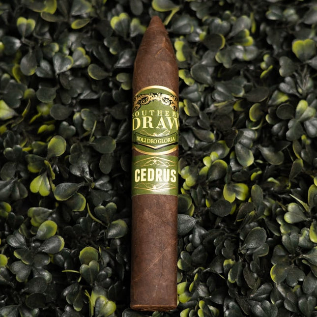 Southern Draw Cedrus Hogan