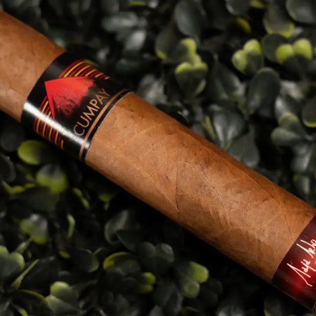 cigar