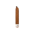 Robusto Single