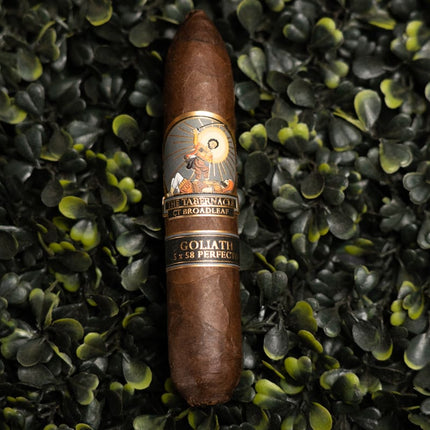 Foundation The Tabernacle Broadleaf Goliath