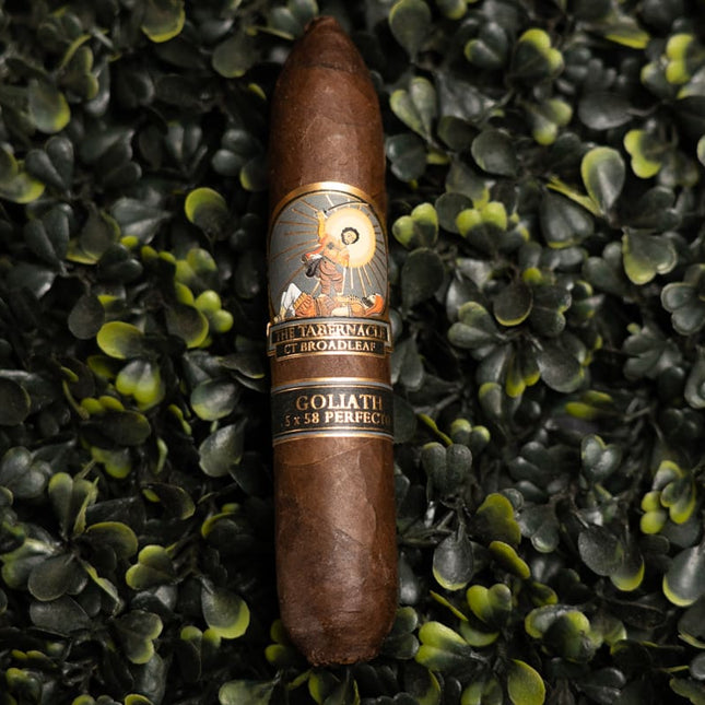 Foundation The Tabernacle Broadleaf Goliath