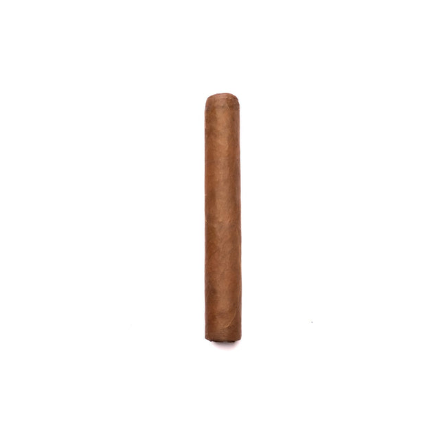 Single brown cylindrical object on a white background