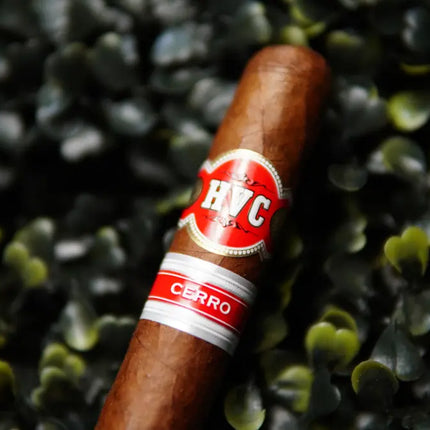 cigar