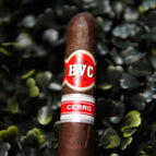 Robusto Box of 20