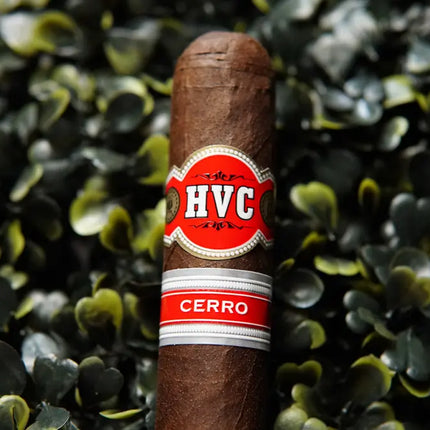 cigar