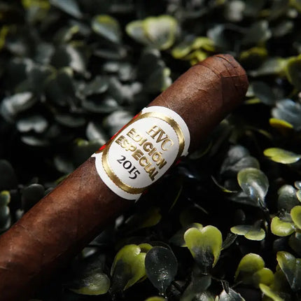 cigar
