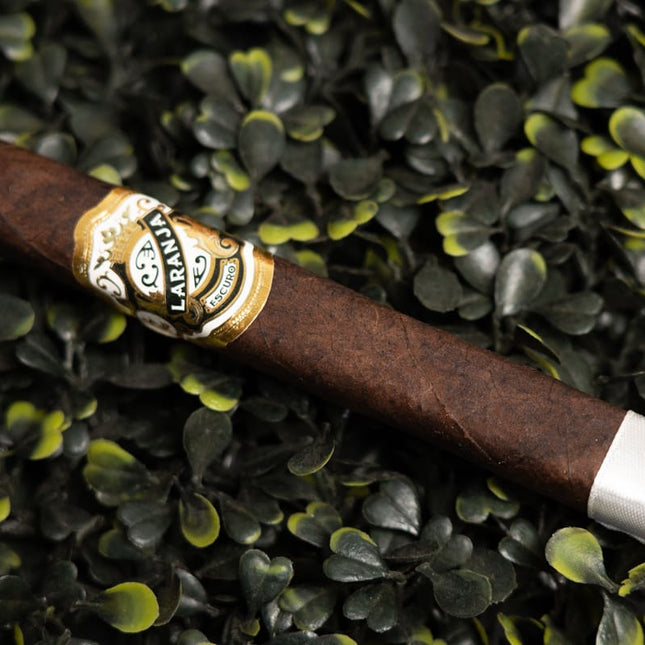 Espinosa Laranja Reserva Escuro