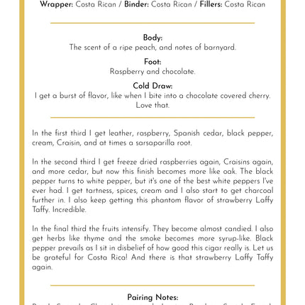 The Persian Rug-Taste Card