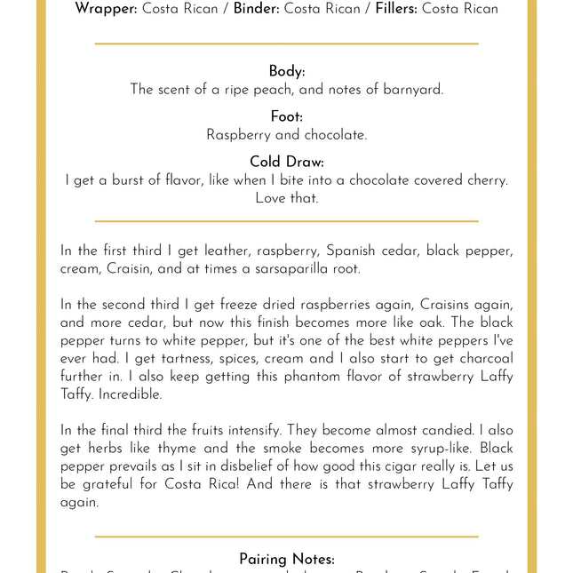 The Persian Rug-Taste Card