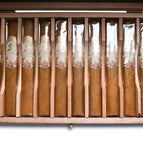 Box of 10